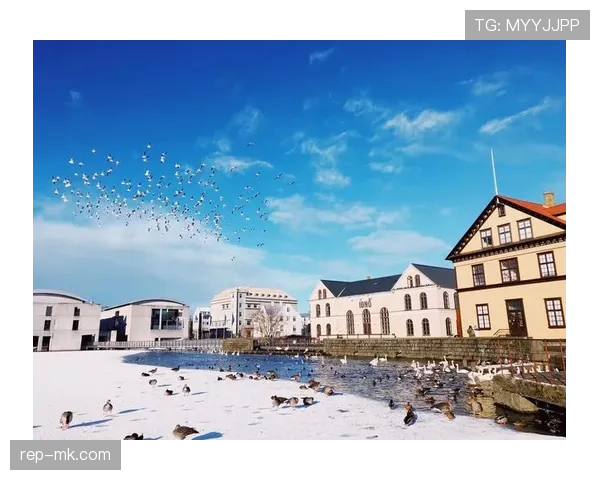 冰岛人口增长创历史新高，跃居全球人口发展新典范