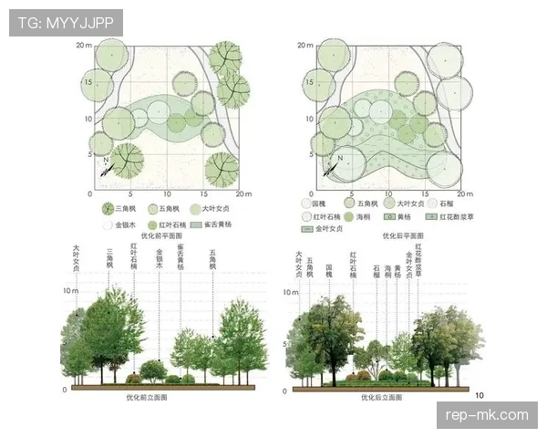 凯尔·沃克与坎塞洛：防守能力与技术路线对比分析
