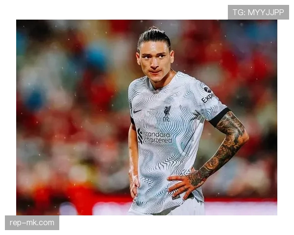 努涅斯战术适配性解析